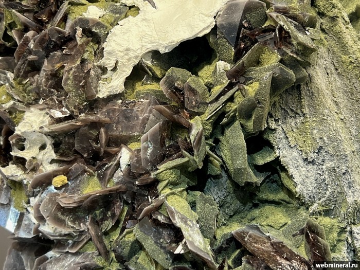 ���������� �������� �������-(Fe), �����������, ������. ����� �������������.