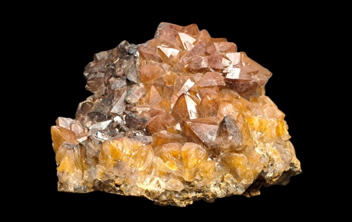 ���������� �������� �����, ø���. �������� �����.