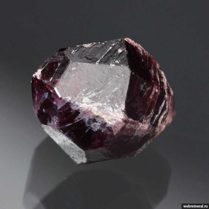 ���������� �������� ���������. ���������� ������������� ����������.