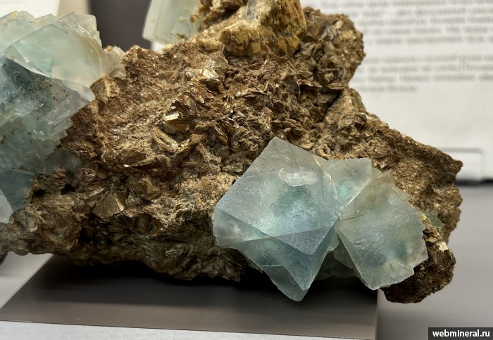 ���������� �������� �������, ��������. ����������� (W-Sn) �������������.