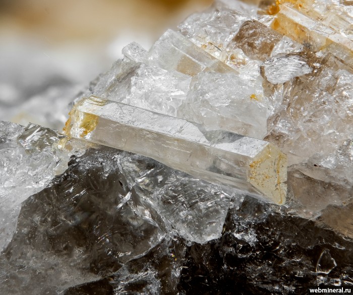 ���������� �������� ������. ����������� (Be) �������������.