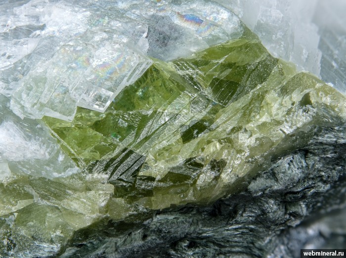 ���������� �������� �������. �������� (Cu-Zn) �������������.