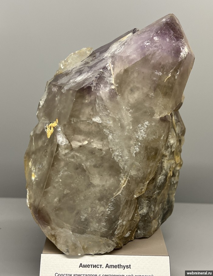 ���������� �������� ����� ����. (�������). �������� �������������.