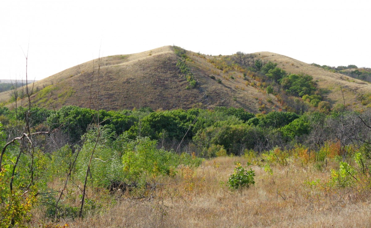 Общий вид месторождения. Фотография месторождения. Новолюбимовское месторождение, Украина.