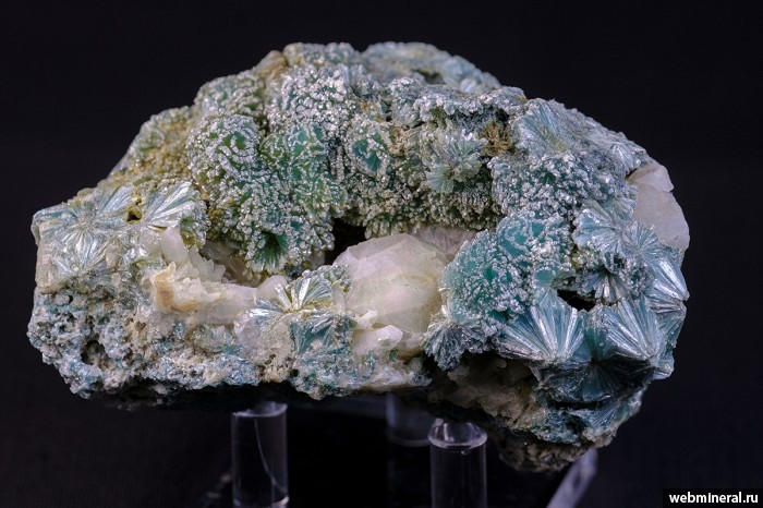 ���������� �������� ����������, �����. ���������� (Au) ������������� (������ ����).