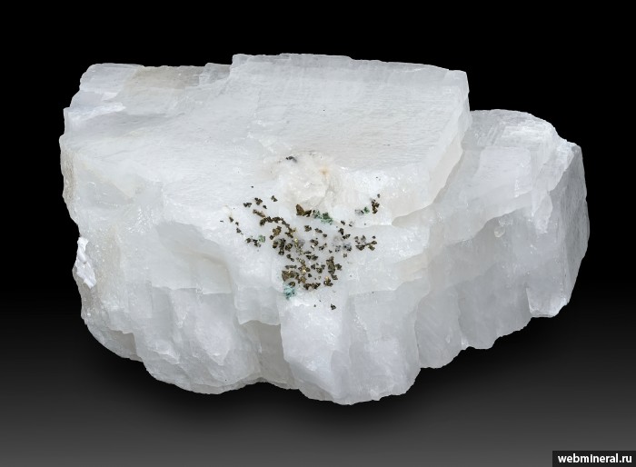 ���������� �������� �����������, �������. ����������� �����.