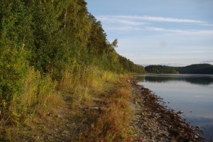 ����������� �����������������