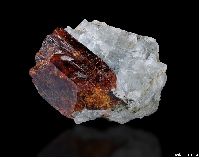 ���������� �������� ��������������. ��� ��������.