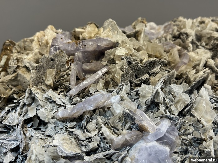 ���������� �������� ����������, �������, ������. ���� �������������.