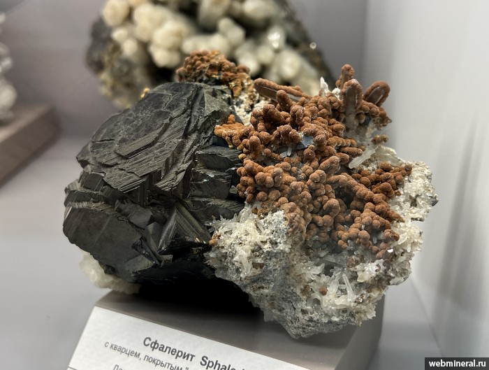 ���������� �������� ��������, �����, �������. ������������ ������.