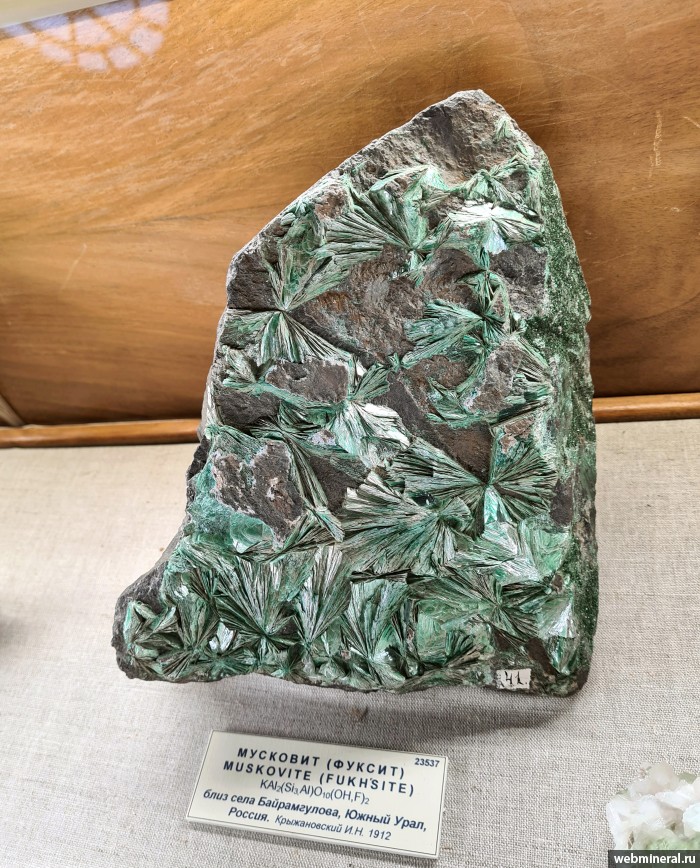 ���������� �������� �������� ����. (������). ��������������� ����������.