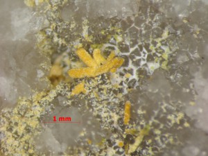 , Bambolla Mine, Moctezuma, Mun. de Moctezuma, Sonora, Mexico ().   . webmineral.ru