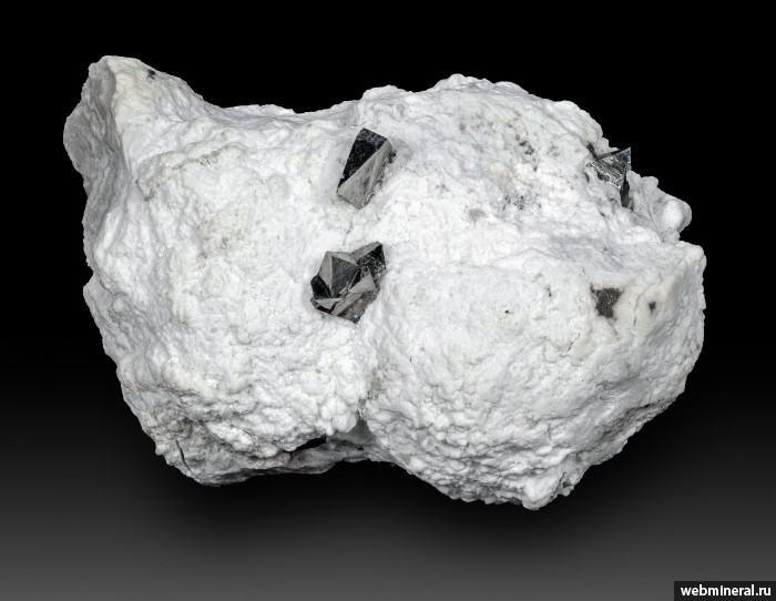 ���������� �������� �����������. ��� ������.