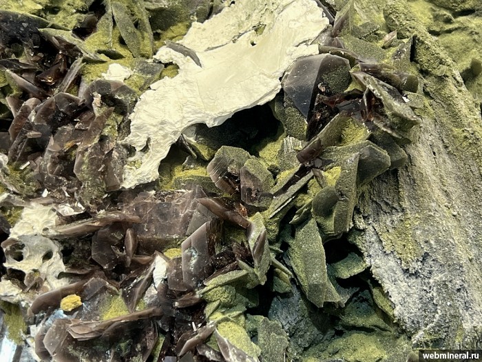 ���������� �������� �������-(Fe), �����������, ������. ����� �������������.