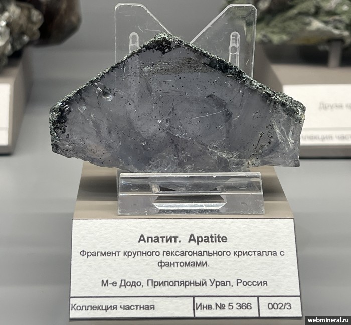 ���������� �������� ����������, ������. ���� �������������.