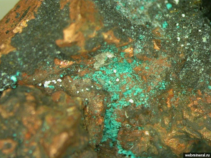 Фотография минерала Гидроцеруссит, Коннеллит, Церуссит, Медь. Рубцовское месторождение.