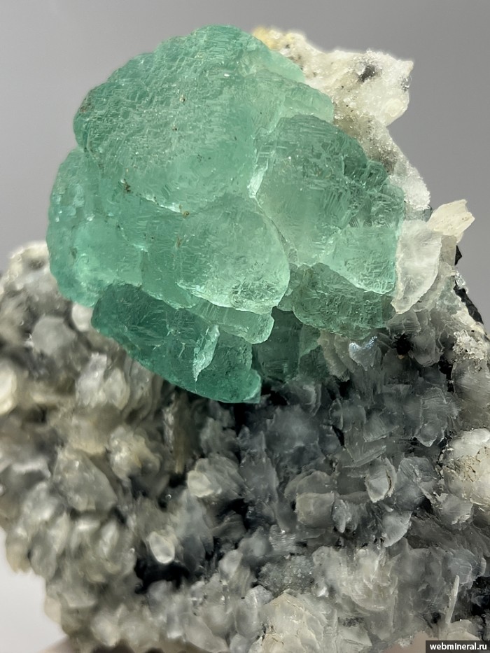 ���������� �������� �������, �������. 2-� ��������� ������.