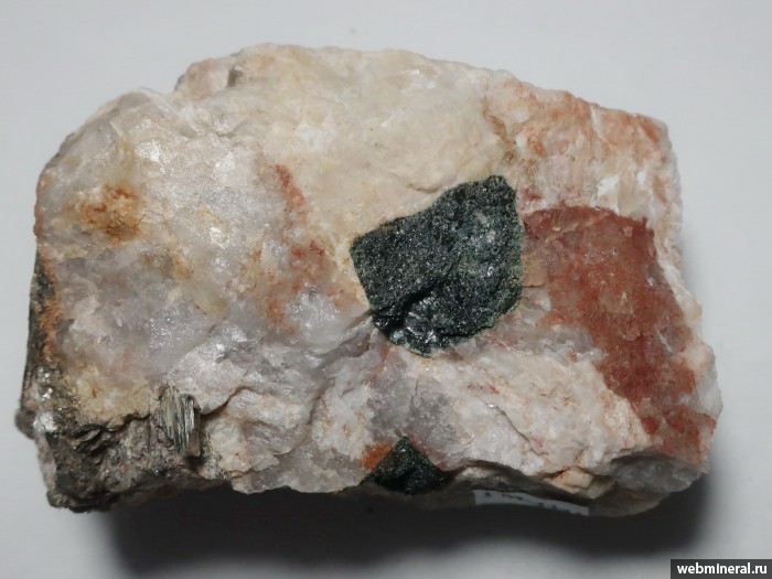 ���������� �������� �����. ��������� �������������.