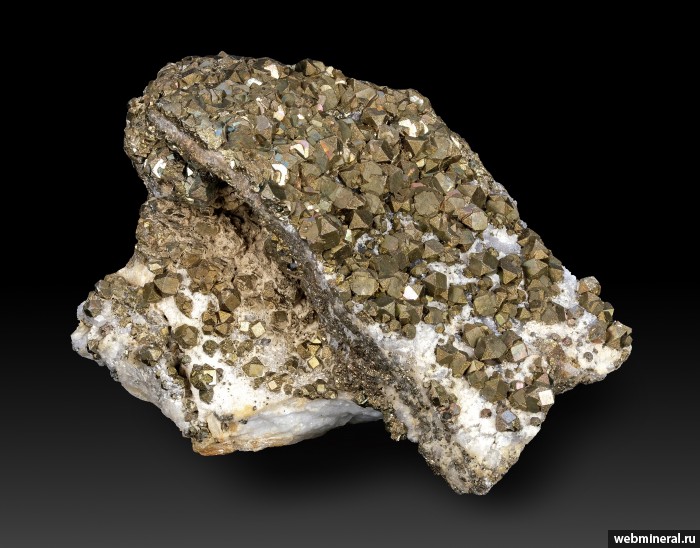 ���������� �������� �����. ������������� �������������.