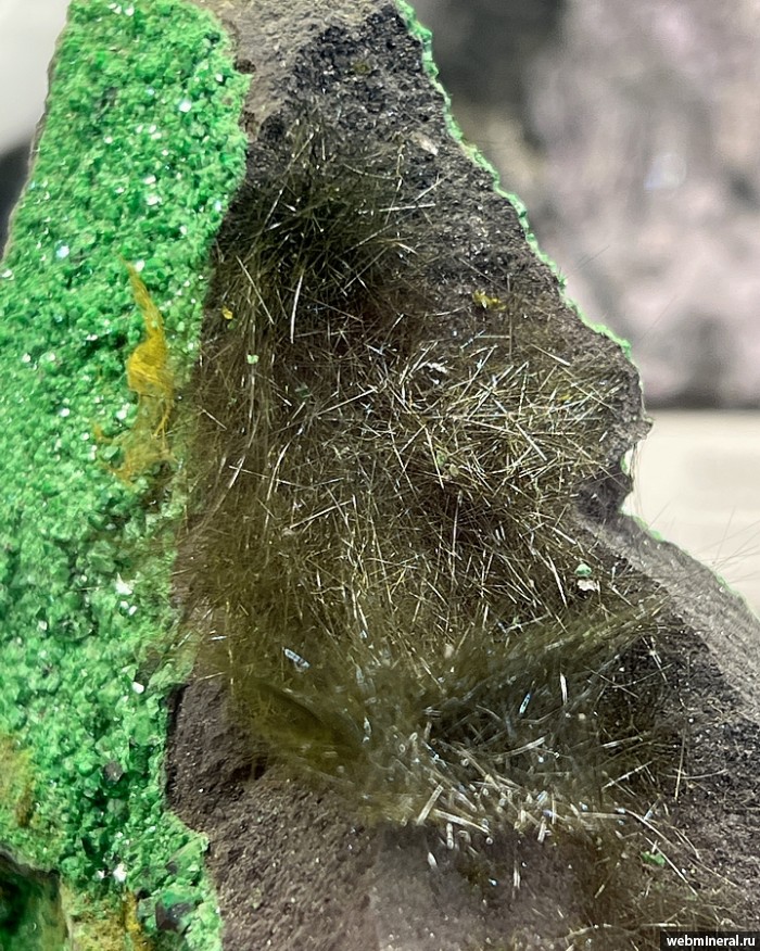 ���������� �������� ����������, ��������. ������� ����������� (Cr) �������������.