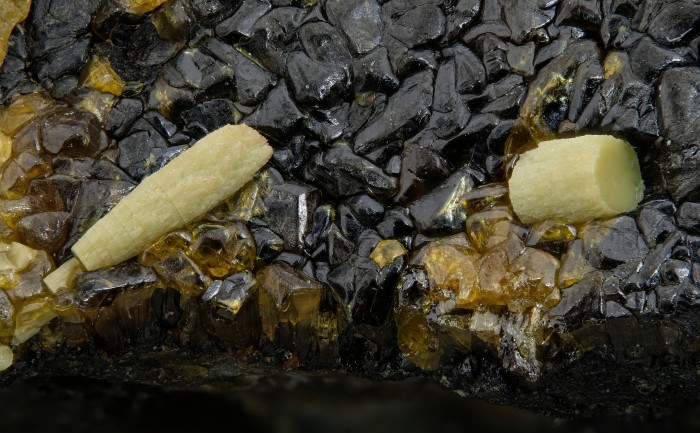 ���������� �������� ���������, ��������. ������������������ ���������� ����������.