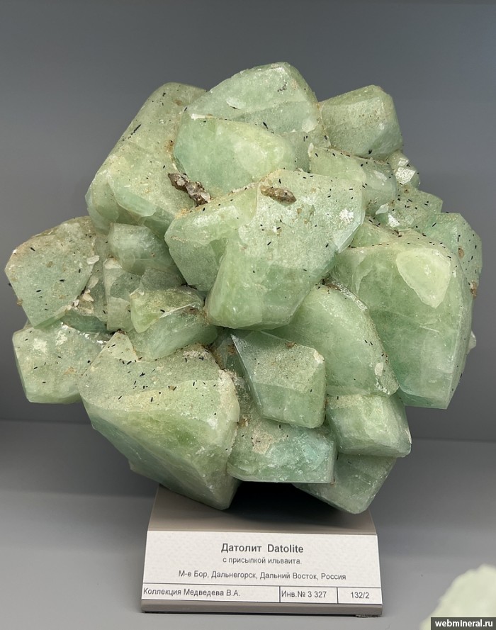 ���������� �������� �������. ��� ������.