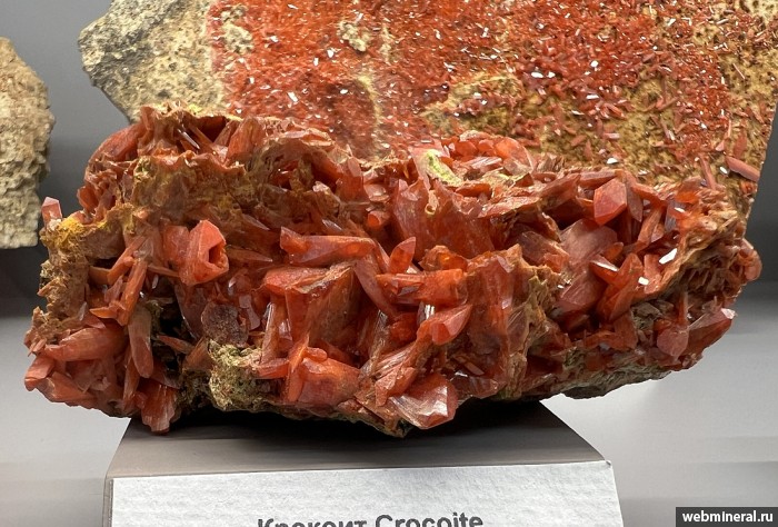 ���������� �������� �������. ����������� ����.