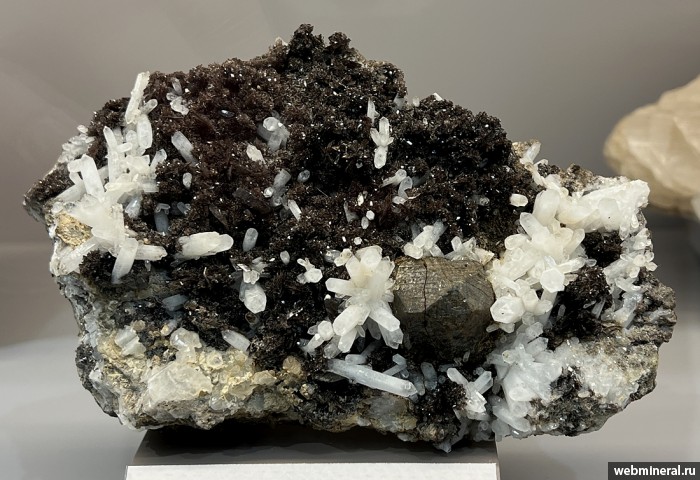 ���������� �������� ��������, �����, �������-(Mn). ������������ ������.