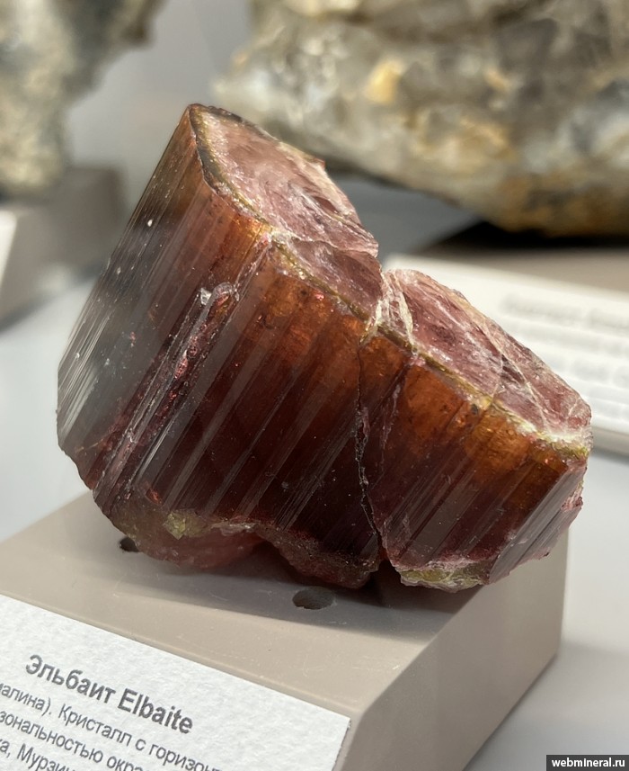 ���������� �������� �������. ��������� ������������ ����.