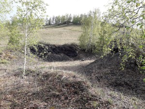   .  (Mn) .   . webmineral.ru